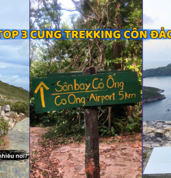Top 3 cung trekking đẹp nhất tại Đặc khu Côn Đảo bạn nên thử ít nhất một lần